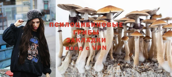метадон Абаза