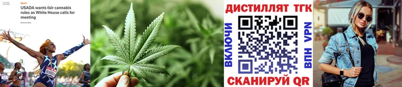 магазин продажи наркотиков  МЕГА ТОР  ТГК вейп с тгк  Липецк 