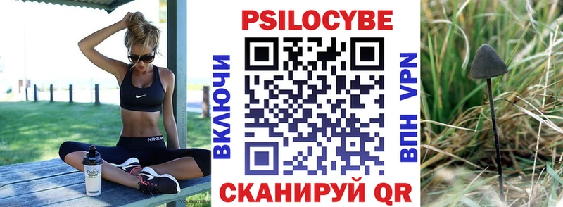 Галлюциногенные грибы Cubensis  Липецк 
